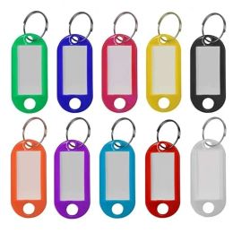 Tags Wholesale 100Pcs ID Tag Dog Pet Plastic Keychain Key Tags ID Label Name Tags With Ring Key Chains Rings Write Name Phone Text