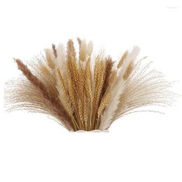 Decorative Flowers Pampas Grass Dried Lagurus Reed Bouquet Flower Wheat Arrangements Boho Home Decor