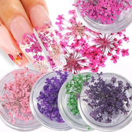 Nail Art Decorations 1 Box Delicate Nails Accessories Decors Natural Decorative Dried Flower