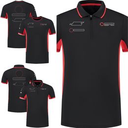 2024 F1 Men's Polo Shirt T-shirt Formula 1 Driver T-shirt New Season Team Racing Suit Tops Fans Same Casual T-shirt Jersey Plus Size