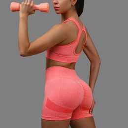 2pcs Yoga Sets Outfits Peach Hip Lifting Suit Shockproof Beauty Back Sports Bra Quick Dry Leggings Set Female Tracksuit 240226