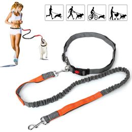 Retractable Dog Leash with Adjustable Waist Rope Hand Free Running Jogging Cycling Big Dogs Pet Elasticity Lead Supplies 240226