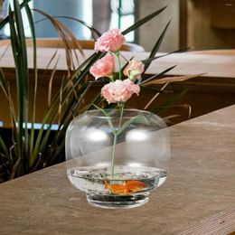 Vases Glass Vase Clear Flower Arrangement Modern Planter Holder