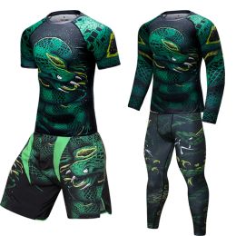 Sets MMA BJJ Sport Suit Rashguard Men Gym Clothing KickBoxing Muay Thai Boxing Shorts Compression Shirt Pants Running Set Sportswear