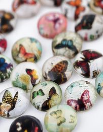 Whole 20PCSlot 10MM Mixed Style Glass Butterfly Floating Charm Beads For Locket Gift For Friends7140241