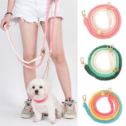 210 CM Multifunction Dog Leash Fashion Colourful Pet Leashes for Small Medium Dogs Puppy Outdoor Walking Supplies Accessories 240226