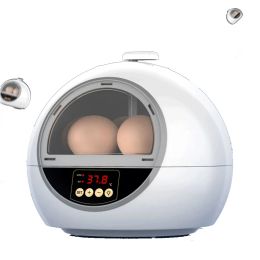 Accessories 6 Eggs Chicken Bird Incubator Eggs Hatching Machine Automatic Intelligent Temperature Control Quail Parrot Brooder Farm Supplie