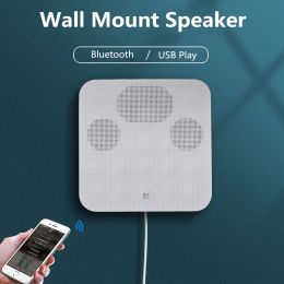 Speakers Wall Mount Speaker Bluetooth Connexion Usb Player in Wall Abs Cabinet for Public Address in Restaurant Small Store