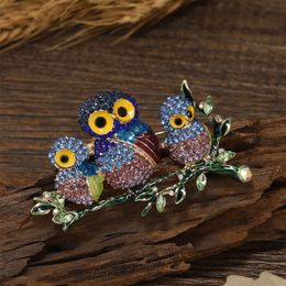 Full Diamond Owl Clothing Accessories, Animal Bird Crystal Brooch Sweater, Colourful and Atmospheric Coat Accessories