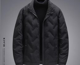 2024 jaqueta ao ar livre para homens no outono e inverno, nova jaqueta de pato branco para baixo juventude, jaqueta superior de gola curta masculina casual