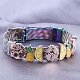 Link Bracelets BAOPON Jewellery 10mm Keeper Fruit Lemon Slide Charm Bracelet For Women Men Stainless Steel Mesh Bangles DIY Gift
