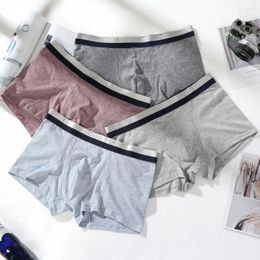 Underpants Male Cotton Soft Panties Boxer For Men Comfortable Japanese Style L-3XL