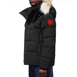 Canada Puffer Jackets Men Designer Real Coyote Fur Outdoor Wyndham Windbreaker Jassen Outerwear Hooded Fourrure 506