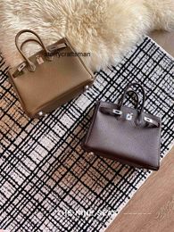 Genuine Leather Handbag l New Series Togo Cowhide All Steel Hardware 25/30 Elephant Grey