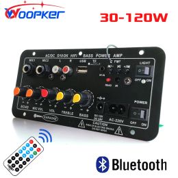 Speakers Woopker Bluetooth Audio Amplifier Board 120W Subwoofer Dual Microphone AMP Module for 4 ohms 812 inch Speaker 12/24V 110/220V