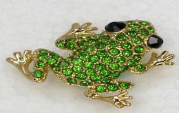 Whole Crystal Rhinestone Small Frog Pin Brooch Fashion Jewellery gift C7543651437