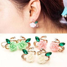 Stud Earrings Oorbellen Promotion 2024 High Rose Plate Crystal Flower Grape Quality Plant Women Brincos Wholesale Jewelry