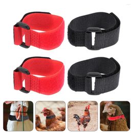 Dog Collars 4 Pcs Cock Neck Strap Rooster No Crow Collar Ring Belt For Anti-hook Anti-noise