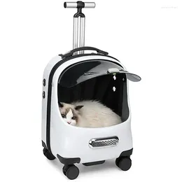 Cat Carriers 2024 Pet Rolling Carrier Dog Backpack With Wheels Cats Puppies Travel Bag Trolley