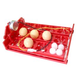 Accessories Incubator Turn Eggs Tray 12 Eggs/48 Birds Eggs 220V / 110V / 12V Chicken Bird Automatic Incubator DIY Incubator Accessories