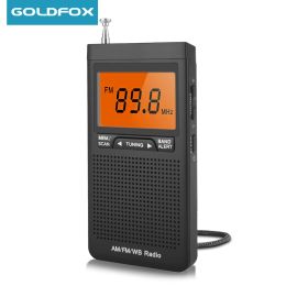 Radio AM FM NOAA Portable Radio Weather Radio Mini Pocket Radio Excellent Reception Large LCD Screen Digtail Alarm Clock Radio