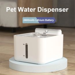 Supplies Cat Water Fountain Philtre Wireless Sensor Drinker Pet Feeder for Pet Cat Dog Feeder Pet Water Dispenser Auto Drinking Fountain