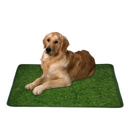 Boxes Professional Dog Grass Mat Pet Potty Training Pee Pad Mat Tray Grass House Toilet Portable Dogs Cats Potty Litter Box Dog Toilet