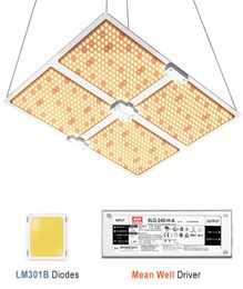 Full spectrum Samsung led grow light 2000W 4000W with LM301B QB234Pcs 3000K Chips and UL Meanwell driver indoor planting9712606