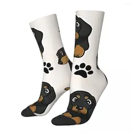 Men's Socks Funny Crazy Sock For Men Cartoons Cute Hip Hop Harajuku Dachshund Pet Dog Happy Pattern Printed Boys Crew Casual Gift