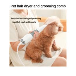 Combs Professional 3In1 Pet Dryer Quiet Dog Hair Dryers and Comb Brush Grooming Cat Hair Comb Fur Blower Low Noise Pet Products