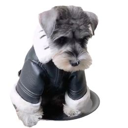 Sets Warm Dog Jacket Winter Dog Coat Windproof And Waterproof Puppy Jacket Cool Dog Leather Jacket Chihuahua Clothes