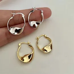 Hoop Earrings 925 Silver Needle HipHop Piercing For Women Girls Punk Ear Party Wedding Jewellery Gift Eh114