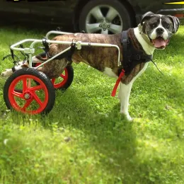 Equipment Pet Wheelchair Large Dog Disability Walker Pet Hind Limb Weakness Paralysis Rehabilitation Training Two Wheel Scooter Wheelchair