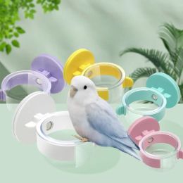 Feeding Hanging Food Bowl Plastic Parrot Accessories Water Facility Snacks Parakeet Pet Bird Feeder for Cage Transparent Macaroon Budgie