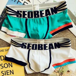 Underpants 2pcs/lot Men's Boxer Underwear Pure Colour Simple Sports For Young Men Cotton Comfortable Breathable Boxers Flat