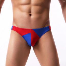 Underpants European Size Men Underwear Sexy Briefs Nylon Gay Penis Pouch Shorts Man Sleepwear Home Wear Panties