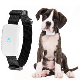 Trackers 2G GPS Tracker Real Time Pet GPS Locator Mini Anti Lost Tracker with Free APP IP67 Waterproof SOS Alarm for Dog Cat New Arrival