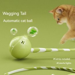 Automatic cat teaser toy Kitten toy ball smart teaser cat stick Type-C rechargeable model Smart electric teaser wagging tail 240226