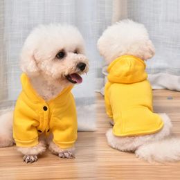 Dog Apparel Factory Wholesale Pet OEM Custom Autumn Baseball Sweater Clothes Puppy Plain Fashion Small Cat Hoodies