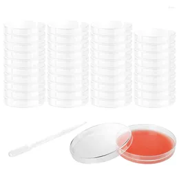 Plates Plastic Petri Dishes With Lid 100X15mm Clear Culture Dish Set For Bioresearch Science Art Projects Equipped Promoti