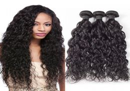 Brazilian Water Wave Curl 100 Unprocessed Human Virgin Hair Weaves Remy Human Hair Extensions Human Hair Weaves Dyeable 3 bundles6306990