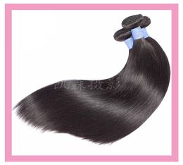 Malaysian 100 Human Hair Mink Hair Extensions Natural Color Straight Hair Bundles 830inch 3 Pieceslot Whole3980840