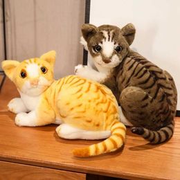 Plush Dolls Simulation Cat Plush Toys Realistic Animal Pet Doll Children Home Decor Kitten Pillow Holiday Christmas Gift for Kids Boys Y240601P55A