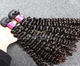 Grade 9A Natural Black Curly Hair Weft 1024 inch 2pcslot Hair Extentions Top Quality Malaysian Human Hair 9918277