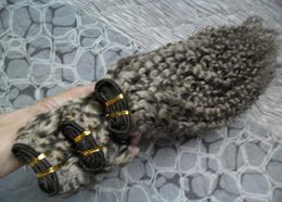 Grey hair weave unprocessed virgin brazilian hair 300g brazilian kinky curly virgin human hair bundles 3PCS8517567
