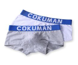 5Pcs Fashion Men Boxers Underwear Breathable Cotton Brand Top Quality Short Boxer Underpants Sexy Gay Cuecas Under Panties M3XL4045289
