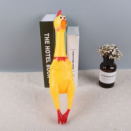 Nowy i kreatywny dowcip Pet Pinting Music, aby odpowiedzieć dziwnego kurczaka, aby złagodzić stres krzyczący kurczaka