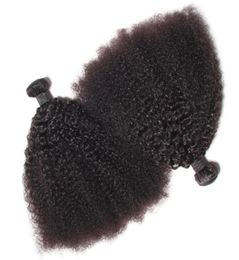 Brazilian Virgin Human Hair Afro Kinky Curly Wave Unprocessed Remy Hair Weaves Double Wefts 100gBundle 2bundlelot Can be Dyed Bl4048415