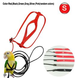 The AVIATOR Bird Harness and Leashes by The Parrot University Adjustable Parrots Bird Harness Leash AntiBite Training Rope Outdoo9610367