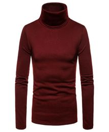 2019 New Brand Mens Thermal Turtle Neck Skivvy Turtleneck Sweaters Stretch Casual Tops US1216330